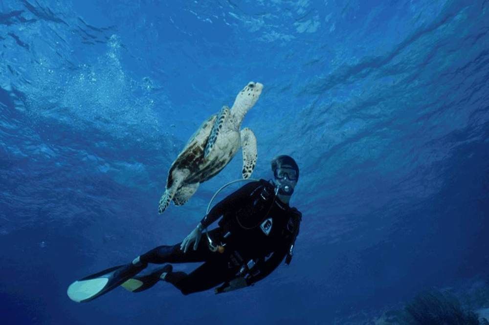 Sand Dollar Bonaire Playa Exterior photo