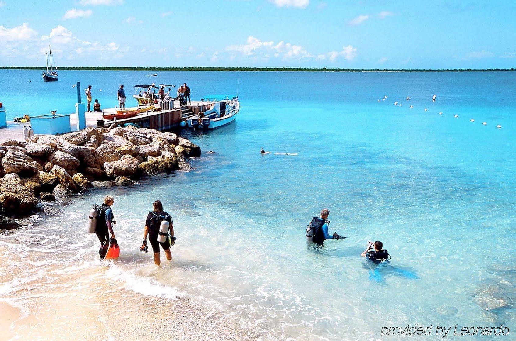 Sand Dollar Bonaire Playa Exterior photo